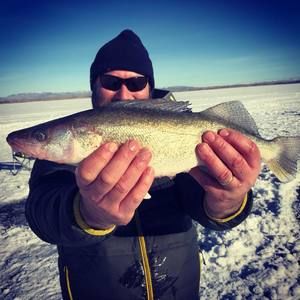 Meet your Posher, Feike